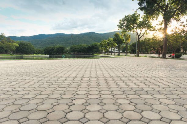 Best Commercial Driveway Pavers  in Plymouth, MN